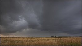 Week 29 - Dominating.jpg