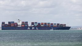 20210728-BCR_6550_1_week29.jpg 20210728-BCR_6550_1_week29.jpg