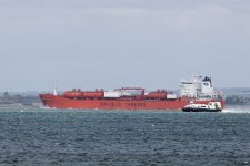 20210728-BCR_6562_1_week29.jpg 20210728-BCR_6562_1_week29.jpg