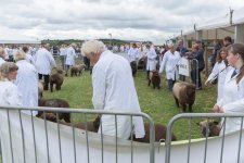 _7512519.jpg _7512519.jpg