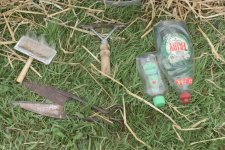 _7512383.jpg _7512383.jpg