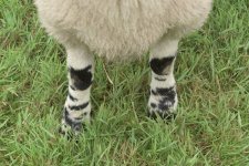 _7512391.jpg _7512391.jpg