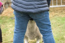 _7512415.jpg _7512415.jpg