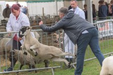 _7512455.jpg _7512455.jpg