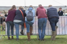 _7512494.jpg _7512494.jpg