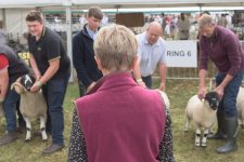 _7512507.jpg _7512507.jpg