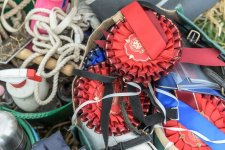 _7512609.jpg _7512609.jpg