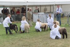 _7512625.jpg _7512625.jpg