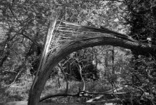 2106CPMXBW23 Broken.jpg