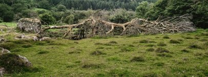 Broni PANO Test 07-39250010 PS Adj.jpg