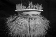 Week 30 Snappers Choice.jpg