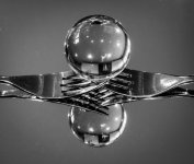 Social Media-9654.jpg