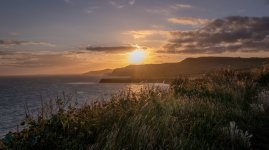 Social Media-9845.jpg