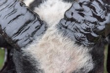 _7512823.jpg _7512823.jpg