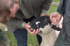 _7512928.jpg _7512928.jpg