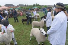 _7512955.jpg _7512955.jpg