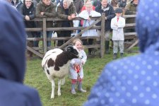 _7512998.jpg _7512998.jpg