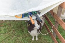 _7513000.jpg _7513000.jpg