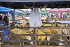 _7512967.jpg _7512967.jpg