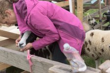 _7512804.jpg _7512804.jpg