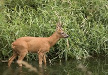 IMG_0920 tp.jpg IMG_0920 tp.jpg