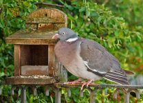 L1025479_DxO-L902-28-c.jpg L1025479_DxO-L902-28-c.jpg