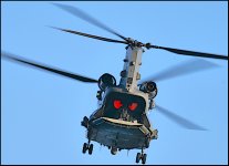 Chinook big red hands P1012894 .JPG