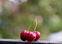 L1006074_DxO-v50-2-c.jpg L1006074_DxO-v50-2-c.jpg