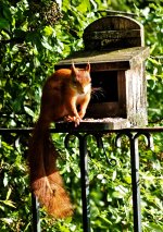 L1025042_DxO-L901-4-c.jpg L1025042_DxO-L901-4-c.jpg