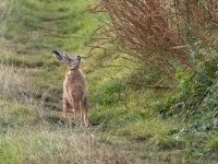 20200920-BCO31238-Edit.jpg 20200920-BCO31238-Edit.jpg