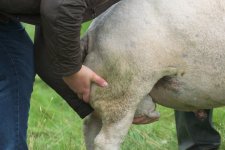 _7513223.jpg _7513223.jpg