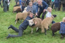 _7513245.jpg _7513245.jpg