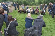 _7513010.jpg _7513010.jpg