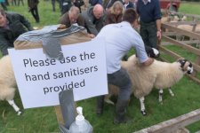 _7512964.jpg _7512964.jpg