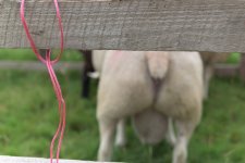 _7513189.jpg _7513189.jpg