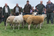 _7513227.jpg _7513227.jpg