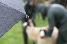 _7513107.jpg _7513107.jpg