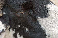 _7513186-2.jpg _7513186-2.jpg