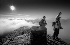 Waving not Climbing.jpg