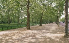 boringtree2.jpg boringtree2.jpg