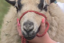 _7512523.jpg _7512523.jpg