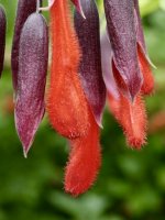 A58C6563-8EAE-4EE9-BF92-1FB607AFBBF4.jpeg A58C6563-8EAE-4EE9-BF92-1FB607AFBBF4.jpeg