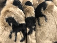 6140AA43-8BCE-4A10-BA0B-B12EAF1B129B.jpeg 6140AA43-8BCE-4A10-BA0B-B12EAF1B129B.jpeg