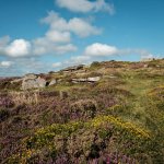 004 Yar Tor 04-5258 PS Adj upload.JPG 004 Yar Tor 04-5258 PS Adj upload.JPG