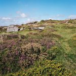 Yar Tor-43750008 PS Adj upload.JPG