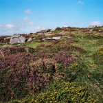 Yar Tor Ektar-43730009 PS Adj upload.JPG