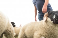 _7513377.jpg _7513377.jpg