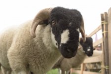 _7513376.jpg _7513376.jpg