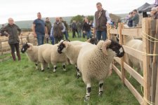 _7513372.jpg _7513372.jpg