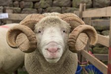 _7513291.jpg _7513291.jpg